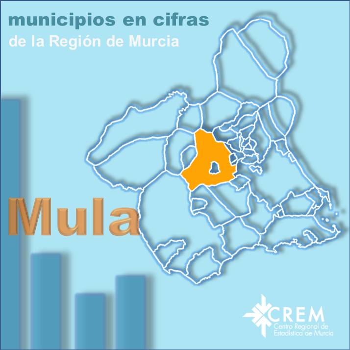 Datos Municipales Mula
