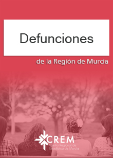 DEFUNCIONES. AÑO 2004