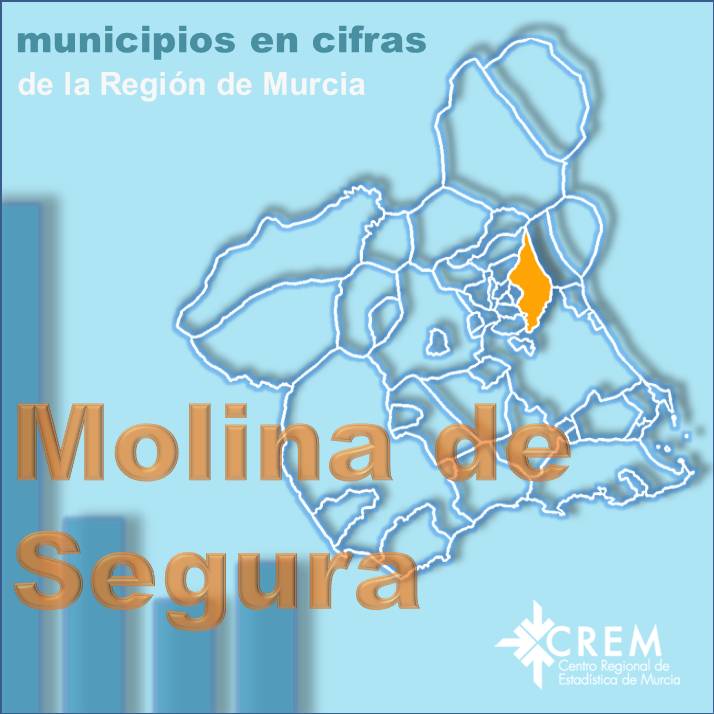 Datos Municipales Molina de Segura
