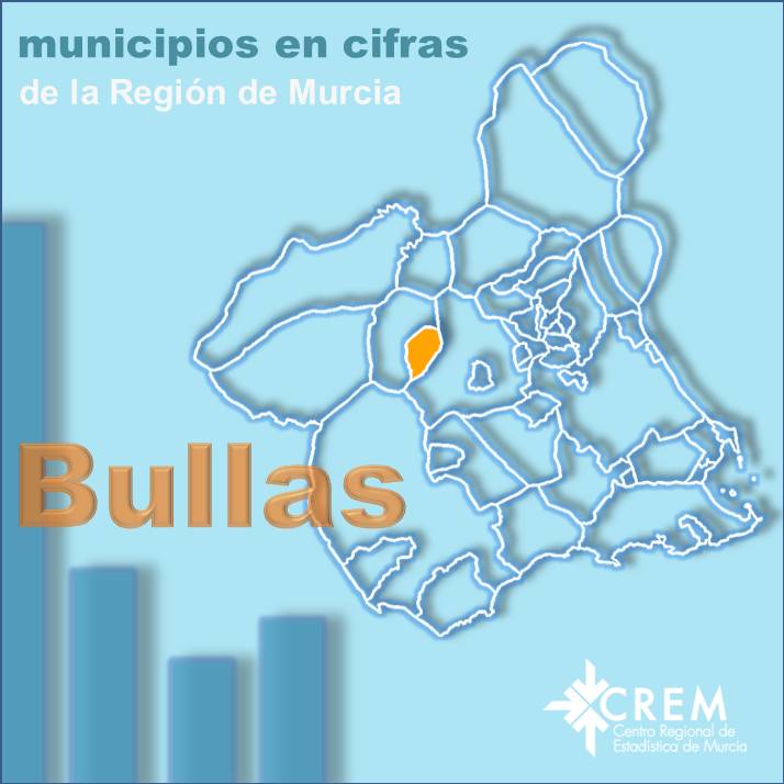 Datos Municipales Bullas